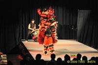 2009 Lunar Gala 