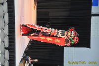 2009 Lunar Gala 