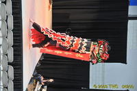 2009 Lunar Gala 