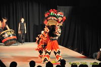 2009 Lunar Gala 