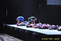 2009 Lunar Gala 