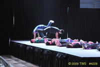 2009 Lunar Gala 