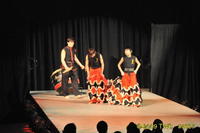 2009 Lunar Gala 