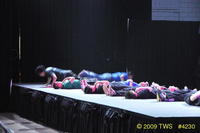 2009 Lunar Gala 