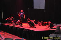 2009 Lunar Gala 
