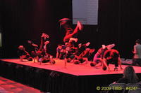 2009 Lunar Gala 