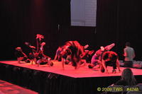 2009 Lunar Gala 