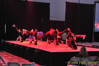 2009 Lunar Gala 