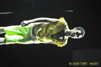 2009 Lunar Gala 