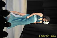 2009 Lunar Gala 