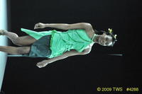 2009 Lunar Gala 