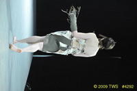 2009 Lunar Gala 