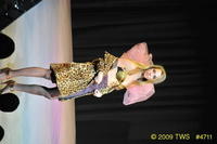 2009 Lunar Gala 