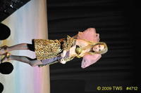 2009 Lunar Gala 