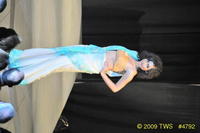 2009 Lunar Gala 