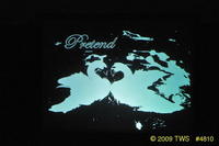 2009 Lunar Gala 