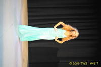 2009 Lunar Gala 
