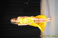 2009 Lunar Gala 