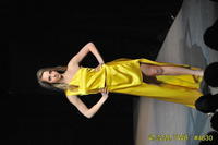 2009 Lunar Gala 