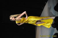 2009 Lunar Gala 