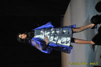 2009 Lunar Gala 