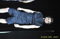 2009 Lunar Gala 