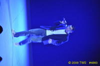 2009 Lunar Gala 