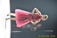 2009 Lunar Gala 