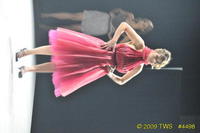 2009 Lunar Gala 
