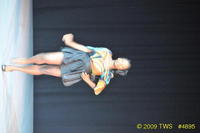2009 Lunar Gala 