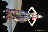 2009 Lunar Gala 