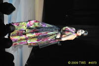 2009 Lunar Gala 