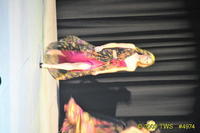 2009 Lunar Gala 