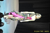 2009 Lunar Gala 