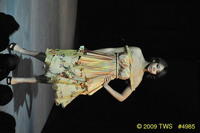 2009 Lunar Gala 