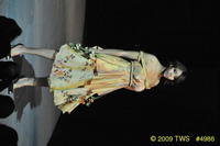 2009 Lunar Gala 