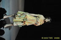 2009 Lunar Gala 
