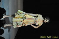 2009 Lunar Gala 