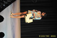 2009 Lunar Gala 