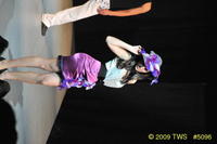 2009 Lunar Gala 