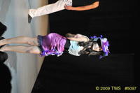 2009 Lunar Gala 