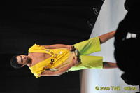 2009 Lunar Gala 
