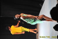 2009 Lunar Gala 
