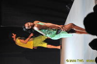 2009 Lunar Gala 