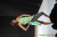 2009 Lunar Gala 