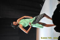2009 Lunar Gala 