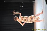 2009 Lunar Gala 