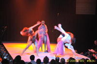 2009 Lunar Gala 
