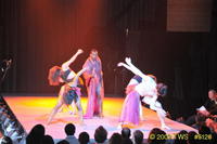 2009 Lunar Gala 