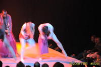 2009 Lunar Gala 